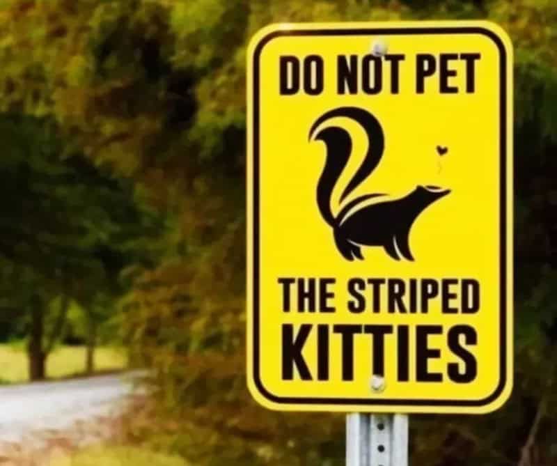 Do not pet the striped kitties sign warning about cats.