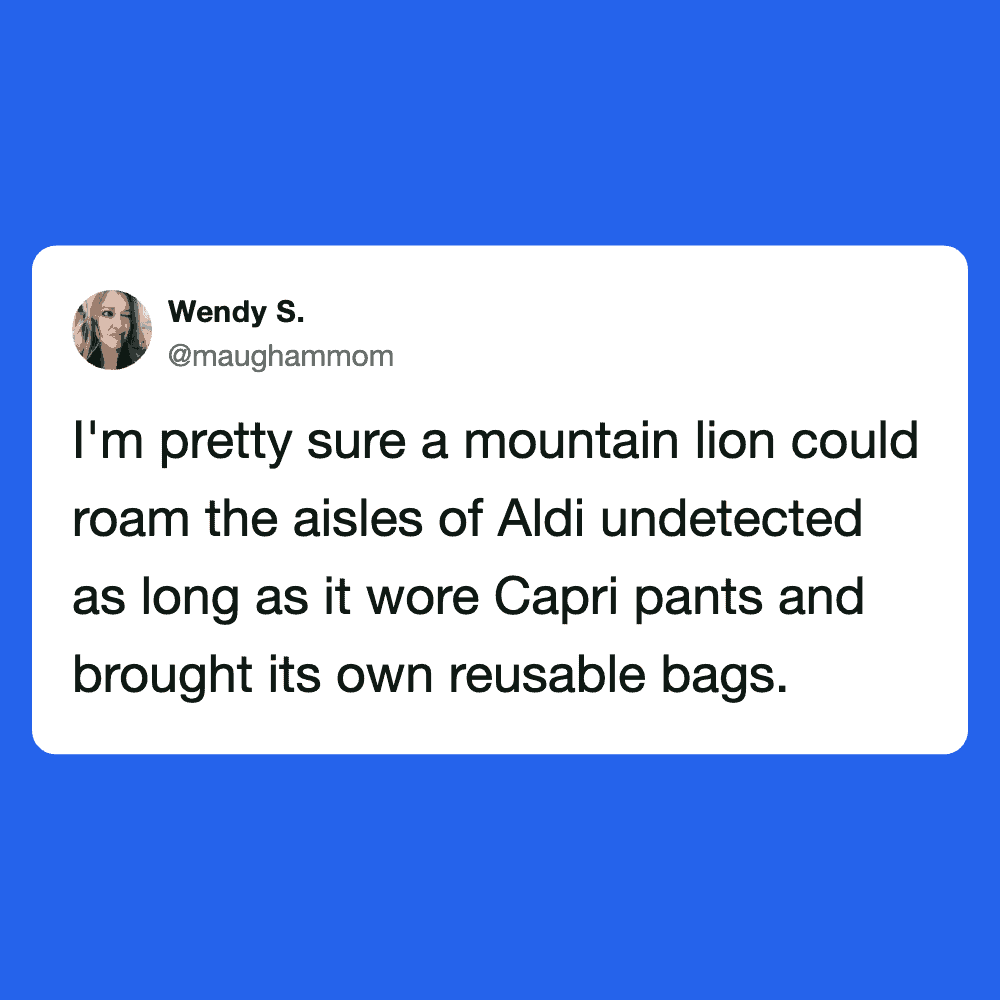 Humorous meme featuring a mountain lion and a tweet about Aldi, highlighting shopping habits and reu.