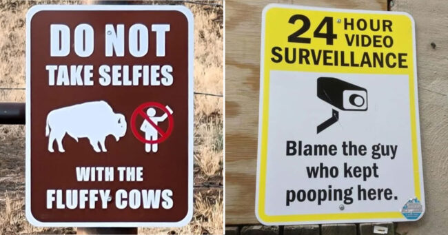 25 Funny Warning Signs That Exist Because Somebody Tested The Limits