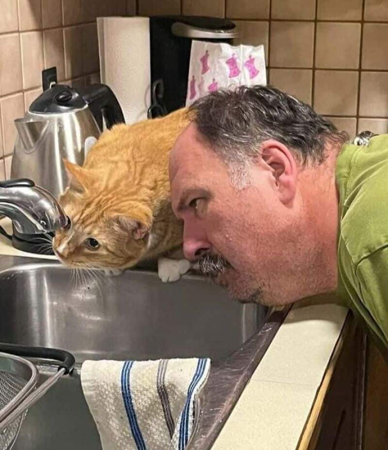 Man and cat sharing a close moment at the kitchen sink, emphasizing companionship and curiosity.