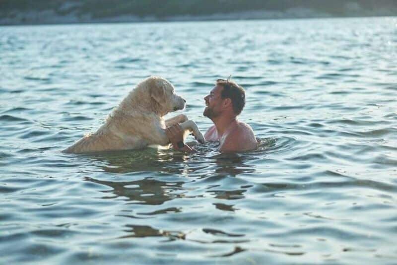 Man and golden retriever playing together in the lake water.