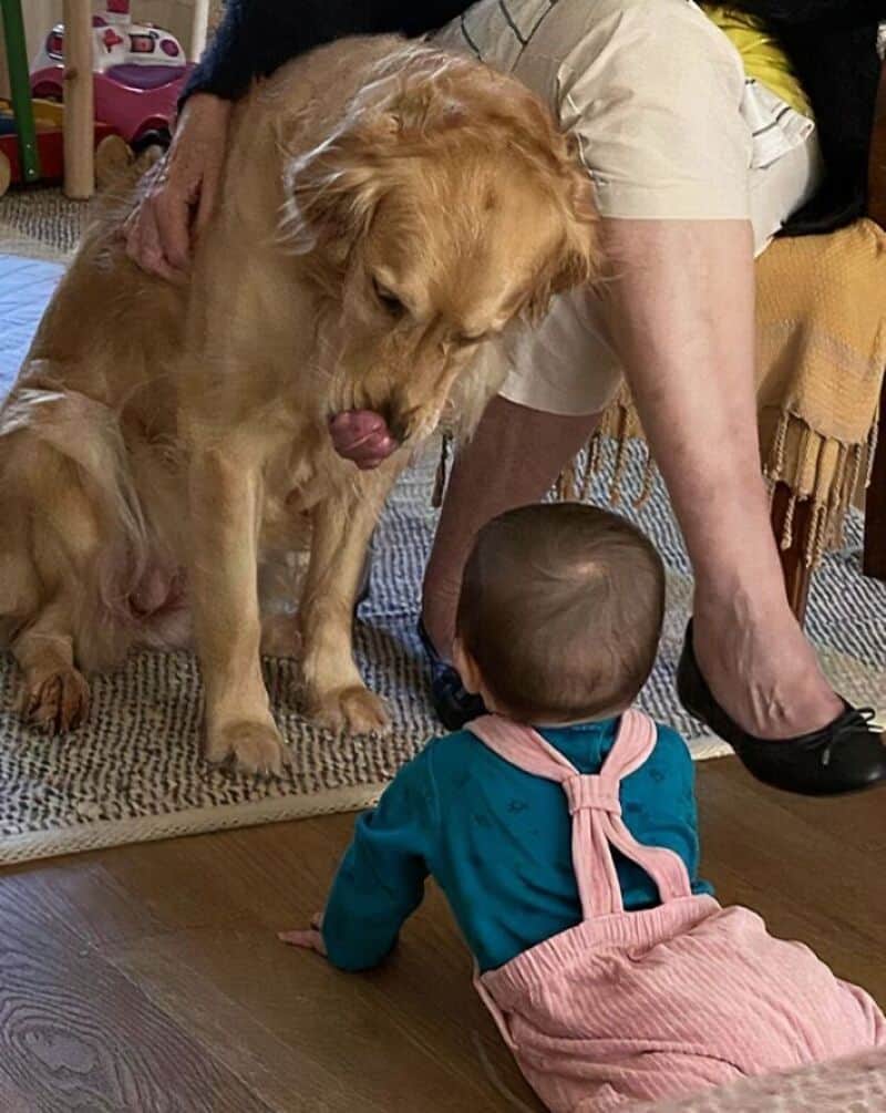 Puppy and baby playing together indoors, adorable moment of companionship.