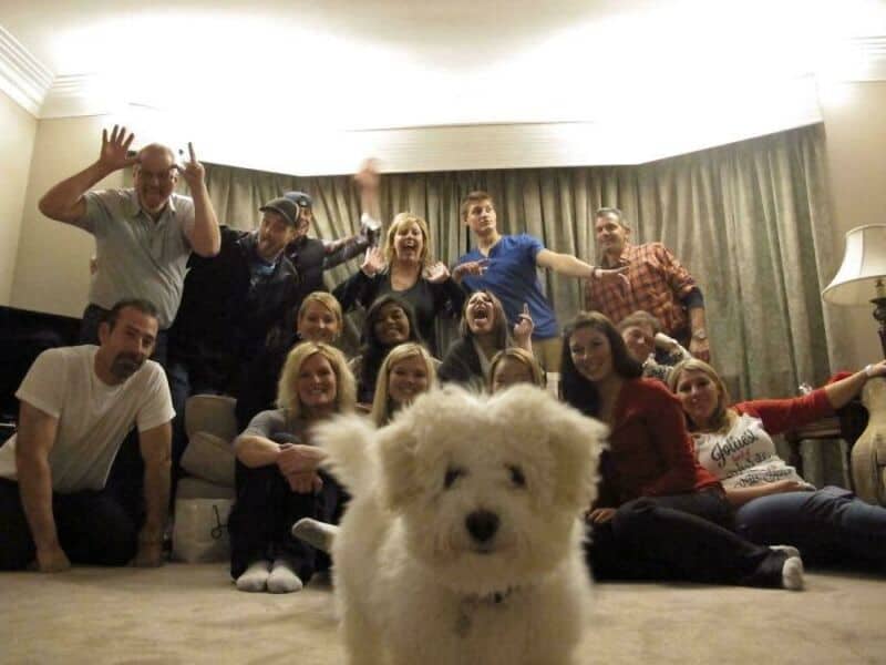 Group of people smiling and celebrating with a fluffy puppy in a cozy living room.