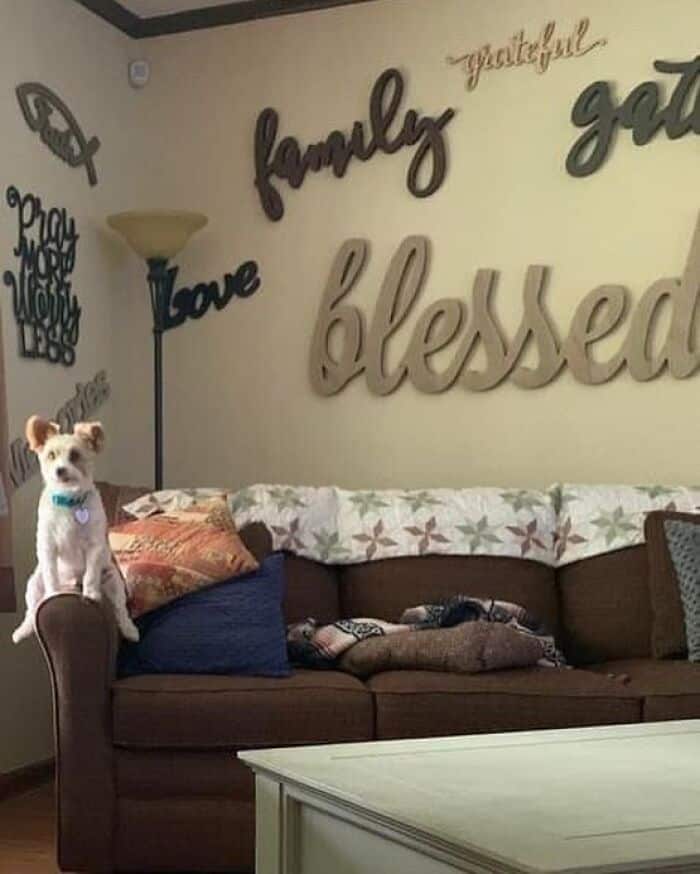 Cozy living room with wall decor and a small dog on the couch.