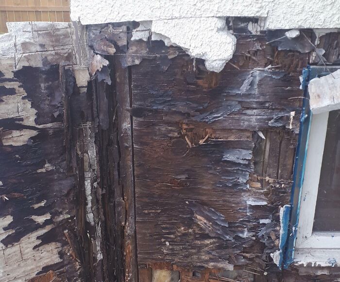 Damaged wooden wall with peeling paint and rotting wood, showing poor home improvement work.