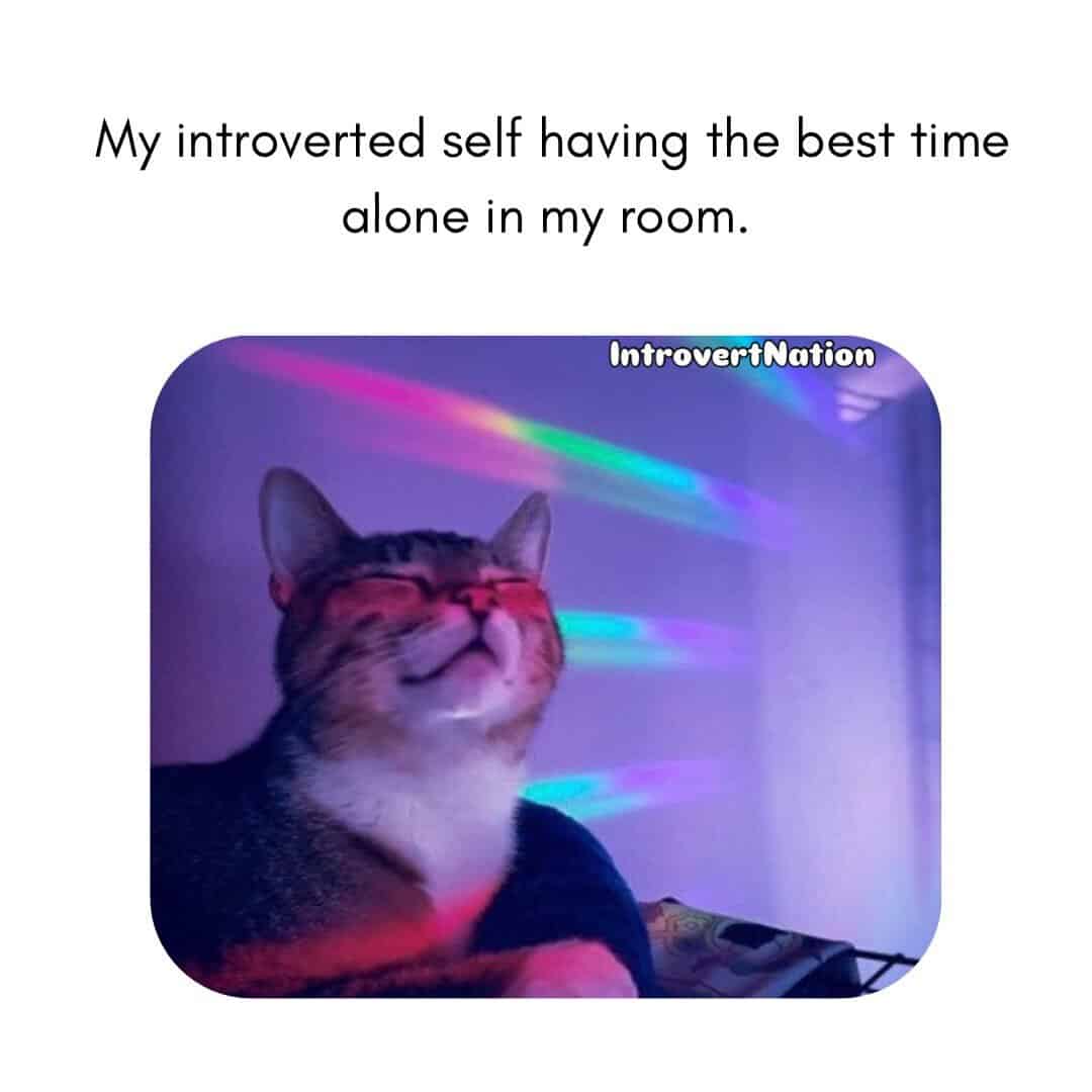 My introverted self having the best time alone in my room.