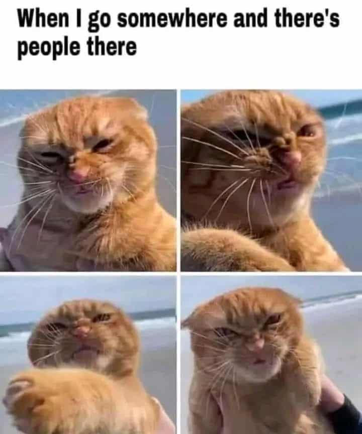 When I go somewhere and there's people there.