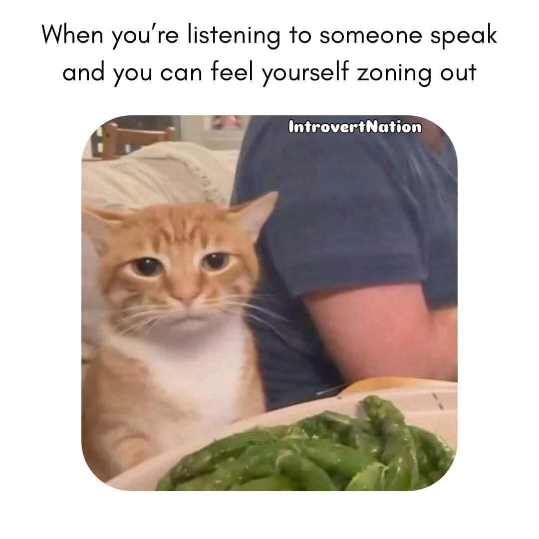 Listening to someone speak and zoning out, with a cat and green beans in the foreground.
