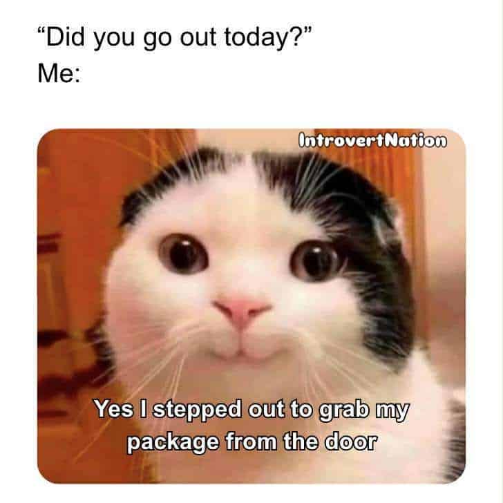 A woman talking to her cat about going out today, with the cat responding that it stepped out to gra.