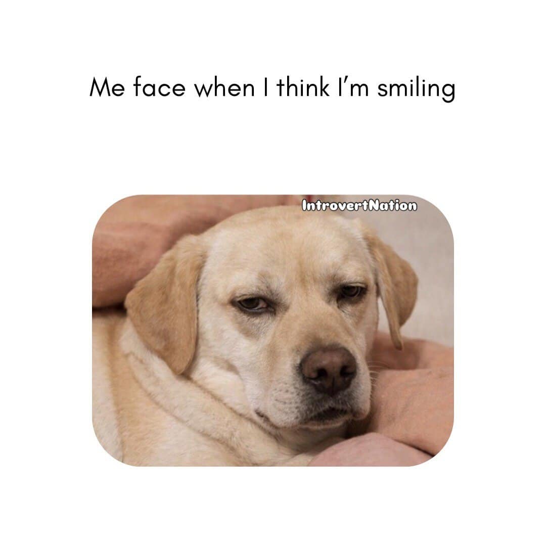Dog with a serious face, captioned "Me face when I think I’m smiling".