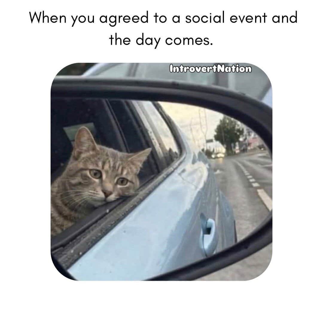 A cat looking out of a car window with the caption "When you agreed to a social event and the day co.