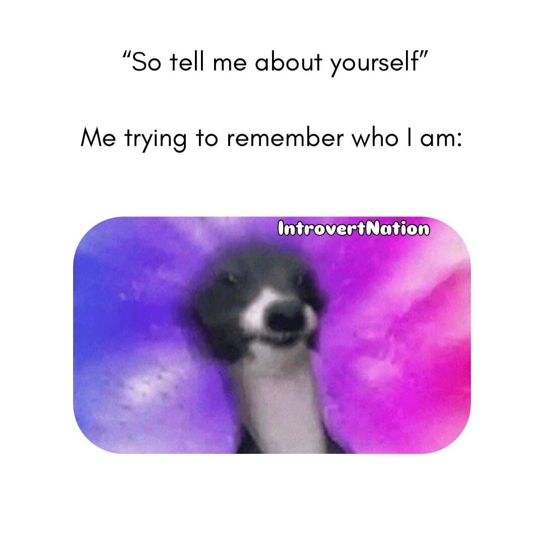 "So tell me about yourself" meme with a blurry dog image and colorful background.