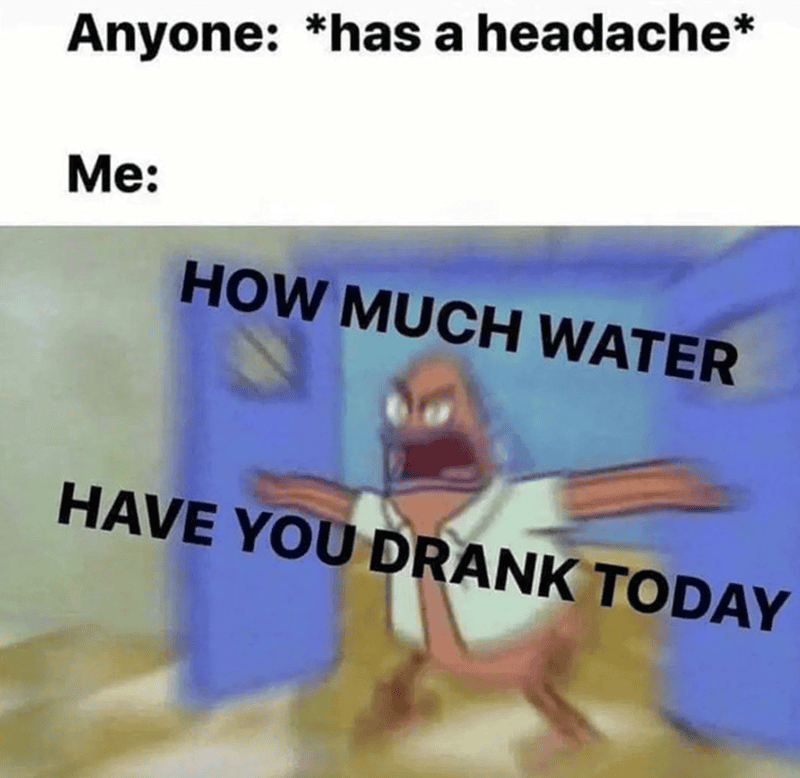 Humorous meme of a dog asking about water intake, with exaggerated expression.