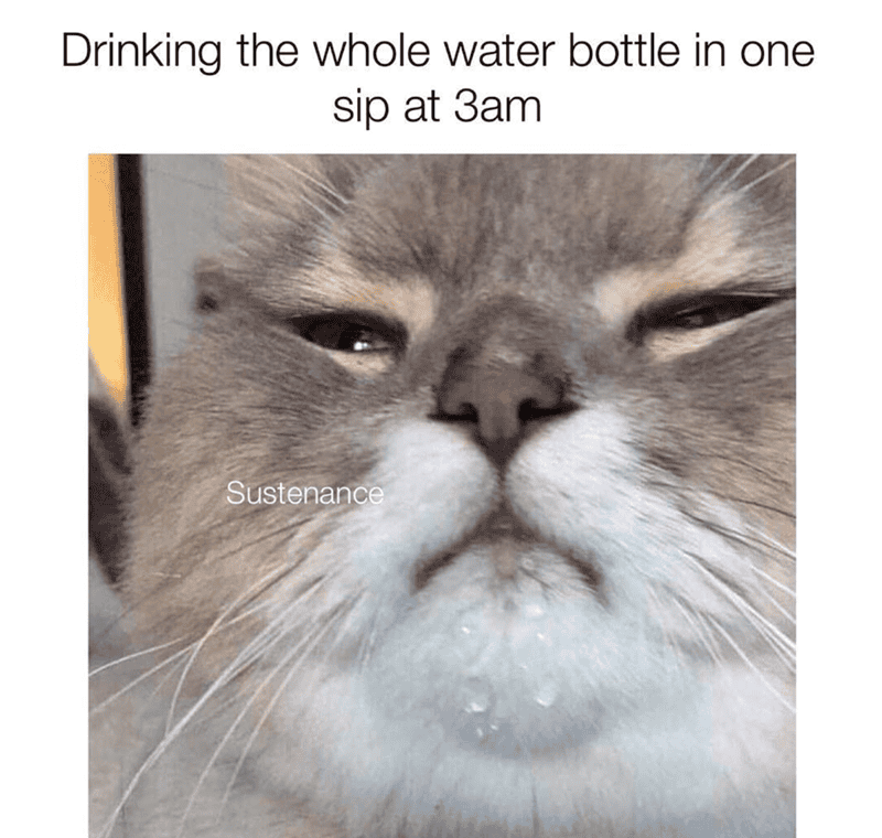 Close-up of a grumpy cat drinking water from a bottle, meme about hydration.
