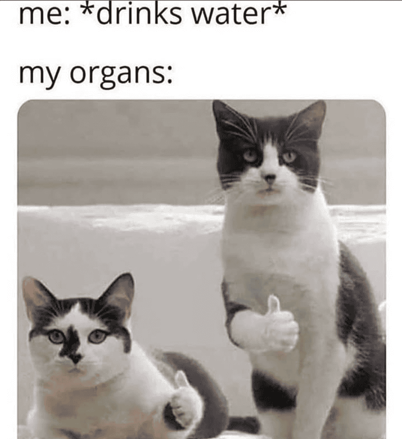 Cat giving a thumbs-up gesture, representing drinking water and good health.