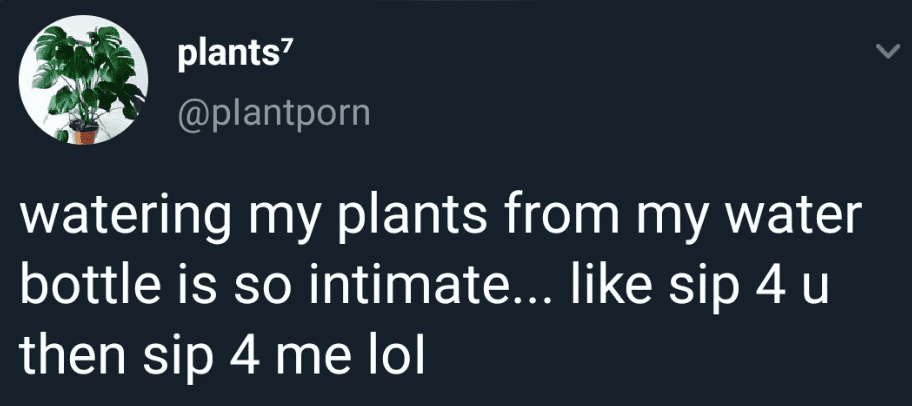 Funny plant meme showing watering plants from a water bottle for humor.