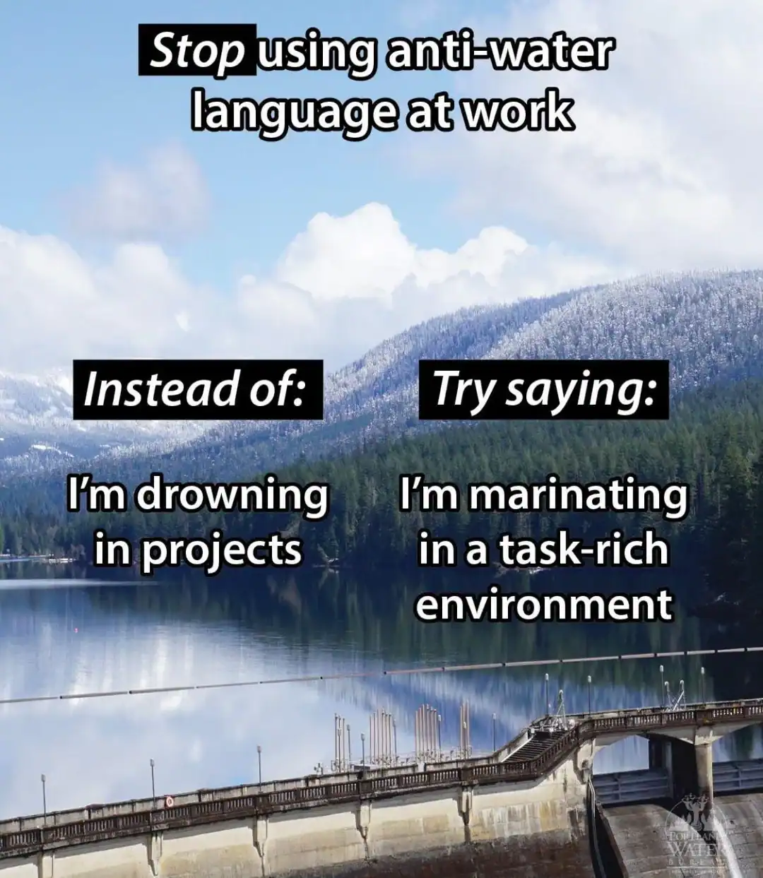 Illustration of water management with humorous anti-water language tips.