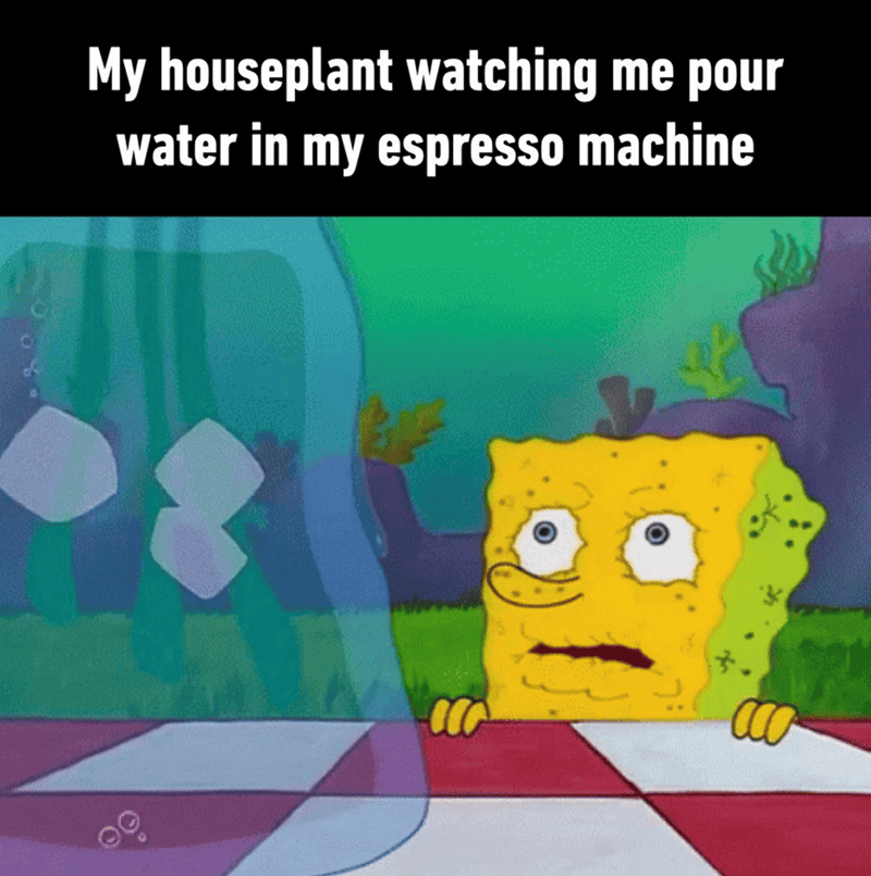 Houseplant observing someone pouring water into an espresso machine, with a humorous caption about t.