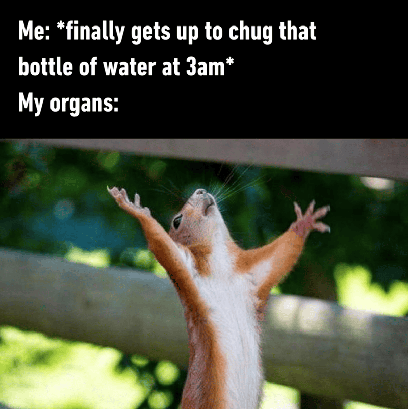 Cute cat with paws raised, celebrating after chugging water at 3am.