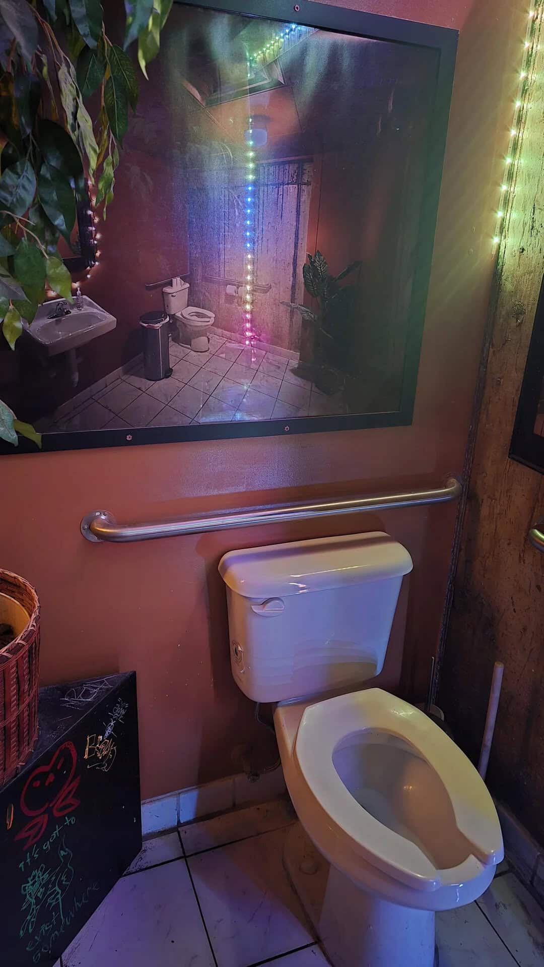 Bathroom with colorful LED lights reflected in mirror, toilet, and plants.