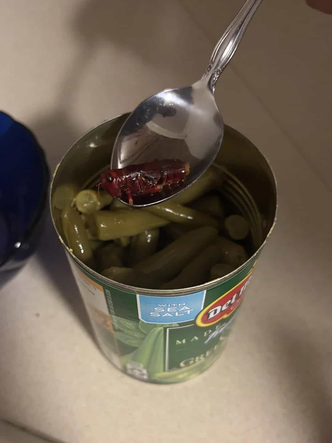 Open can of green beans with a spoon holding a red pepper on top.