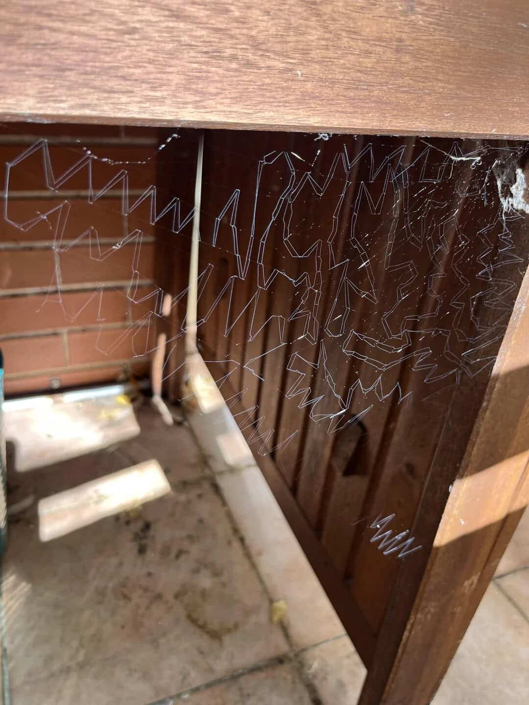 Intricate spider web with geometric design on a wooden fence, showcasing nature's art in an outdoor.