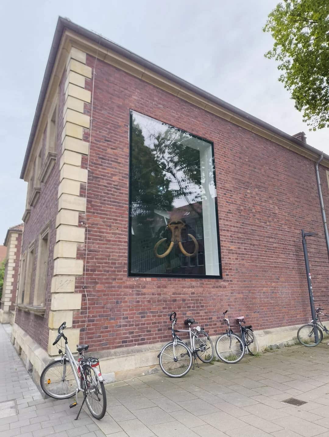 Large window on brick building with bicycles parked outside, showcasing urban architecture and stree.