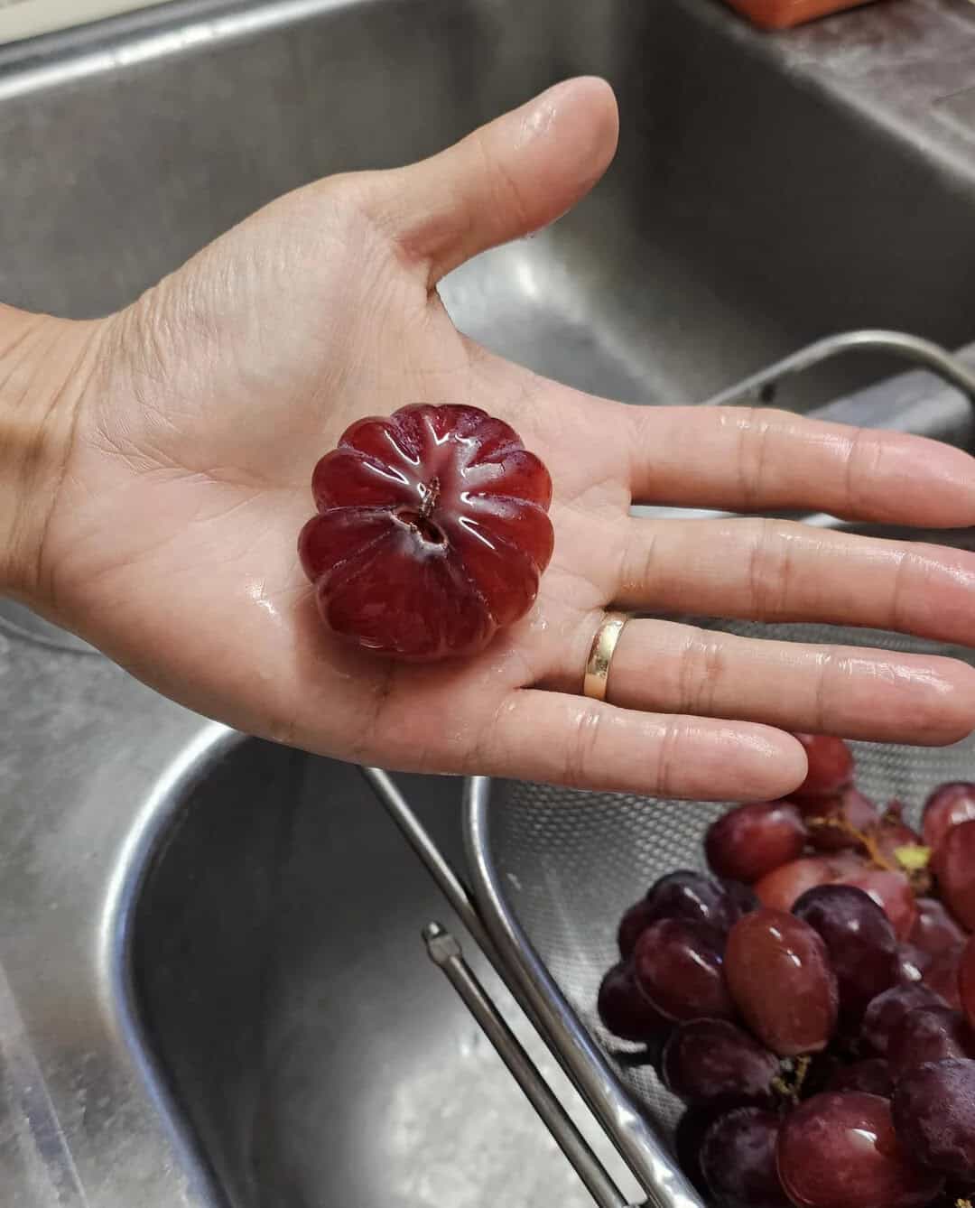 Hand holding a large, uniquely shaped red grape over a sink.