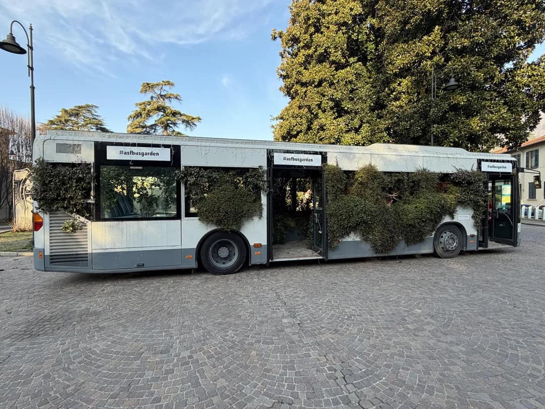 Bus with overgrown greenery, parked outdoors on cobblestone street, surrounded by trees.