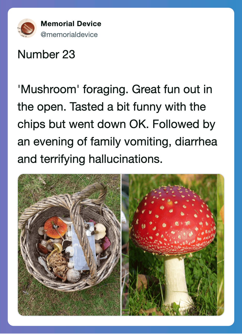 Mildly terrifying 70s household dangers, including a mushroom foraging mishap. Nostalgic yet caution.
