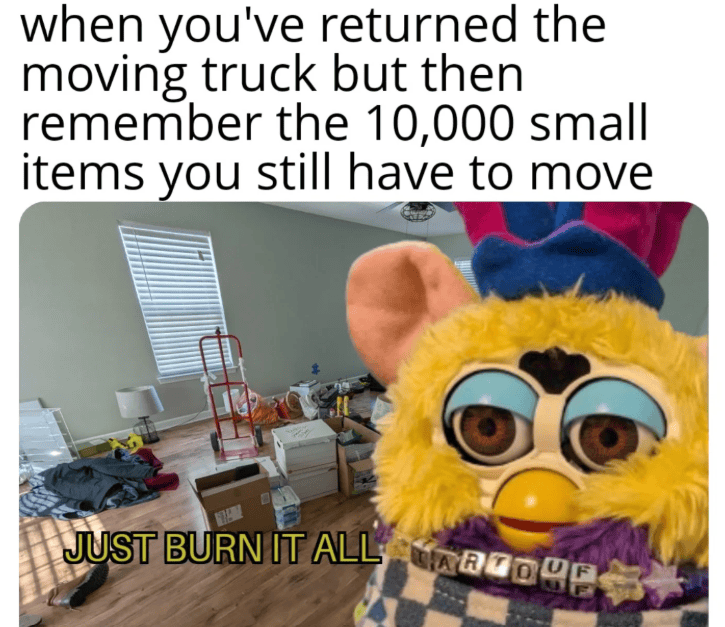 Mascot in colorful costume with glasses, surrounded by cluttered room and boxes.