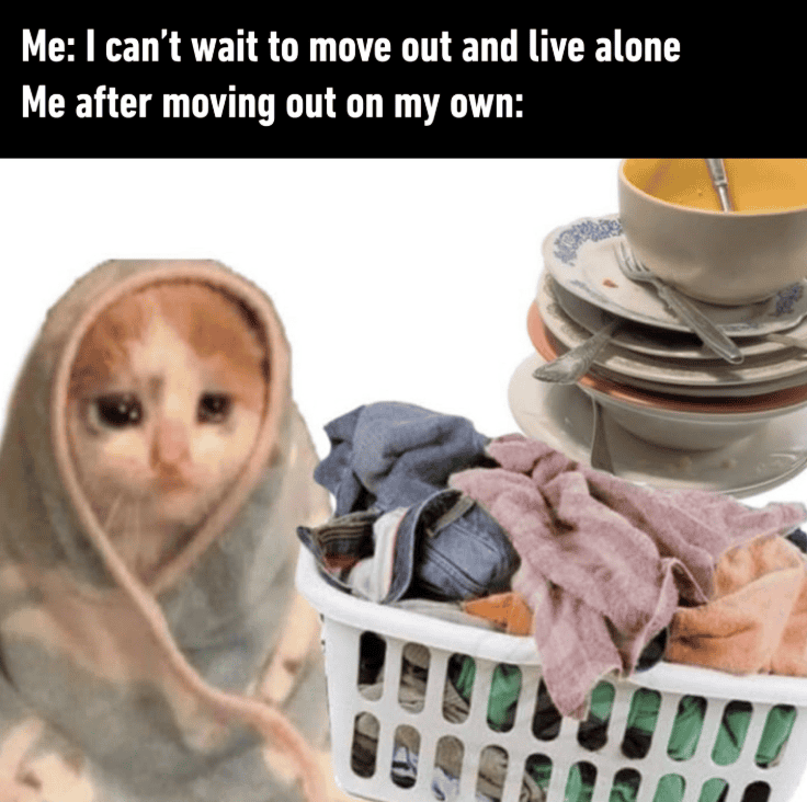 Cute cat in hoodie with laundry basket and dishes, humorous moving out meme.