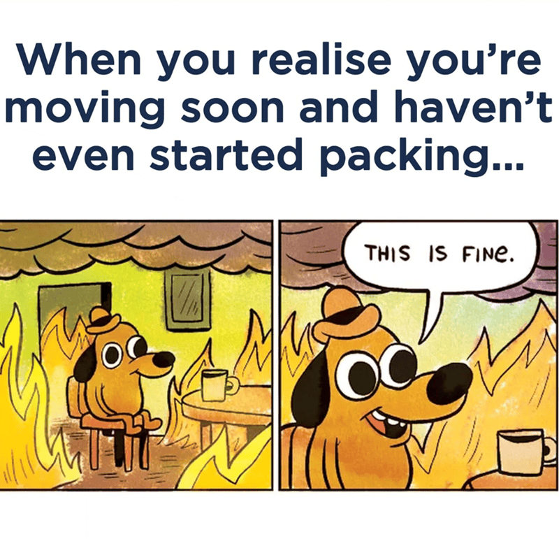 Cartoon dog sitting calmly in a burning room with flames, saying "This is fine.".