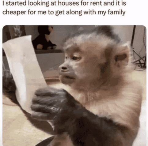 Capuchin monkey holding and reading a paper about rent options.