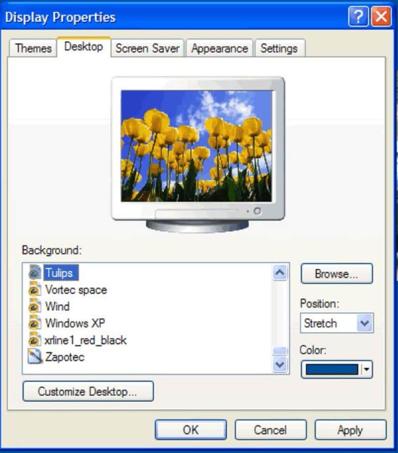 Pleated Jeans logo displayed on a computer monitor with a blue sky background.