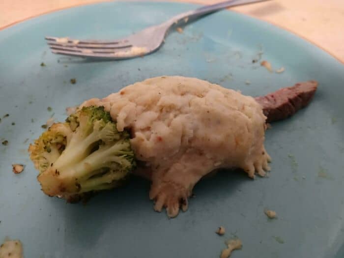 Quirky food dish resembling a creature with broccoli and mashed potatoes on a blue plate.