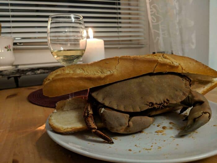 A giant, poorly cooked lobster with a bread roll on top, served on a plate.