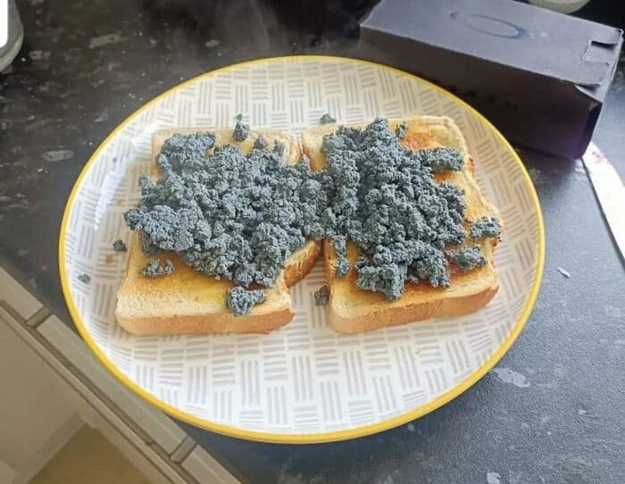 Toast with strange blue mold-like topping, looks unappetizing and possibly spoiled.