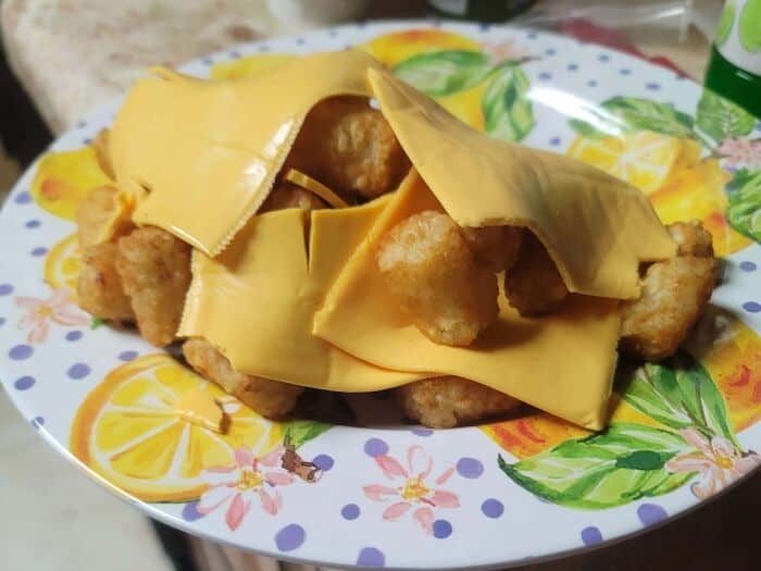 Fried chicken sandwich with melted cheese on a floral plate.