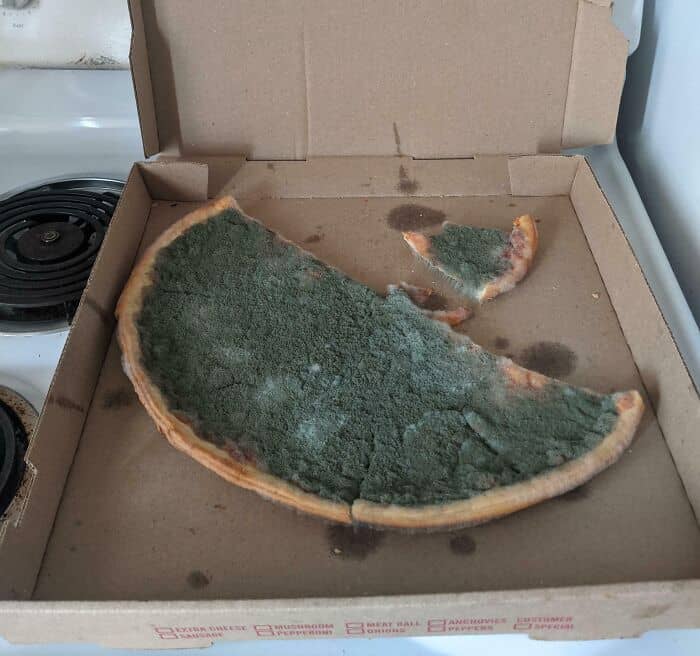 Moldy pizza slice with green and black mold, discarded in a cardboard box.