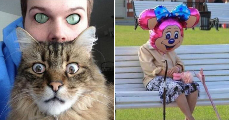77 Random And/Or Funny Pics To Add Some Excitement To Your Day