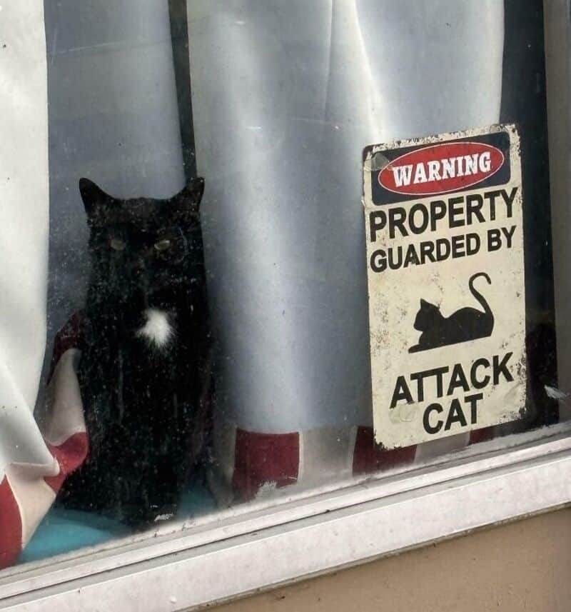 WARNING PROPERTY GUARDED BY ATTACK CAT.