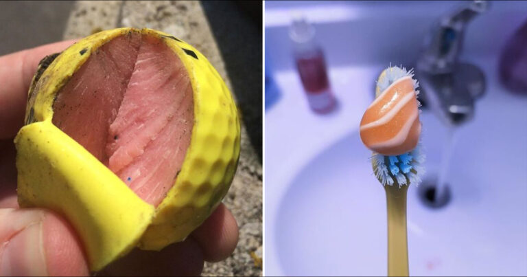 40 Random Things That Accidentally Look Like Food