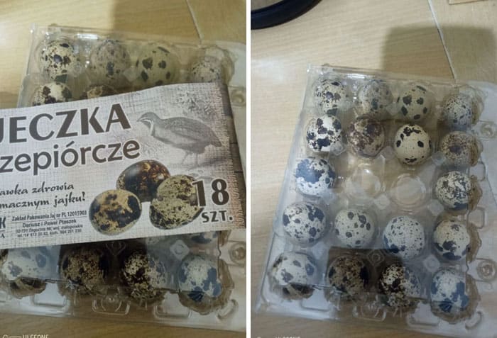 Quail eggs in plastic container on a wooden surface.