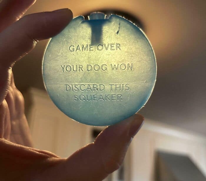 GAME OVER.