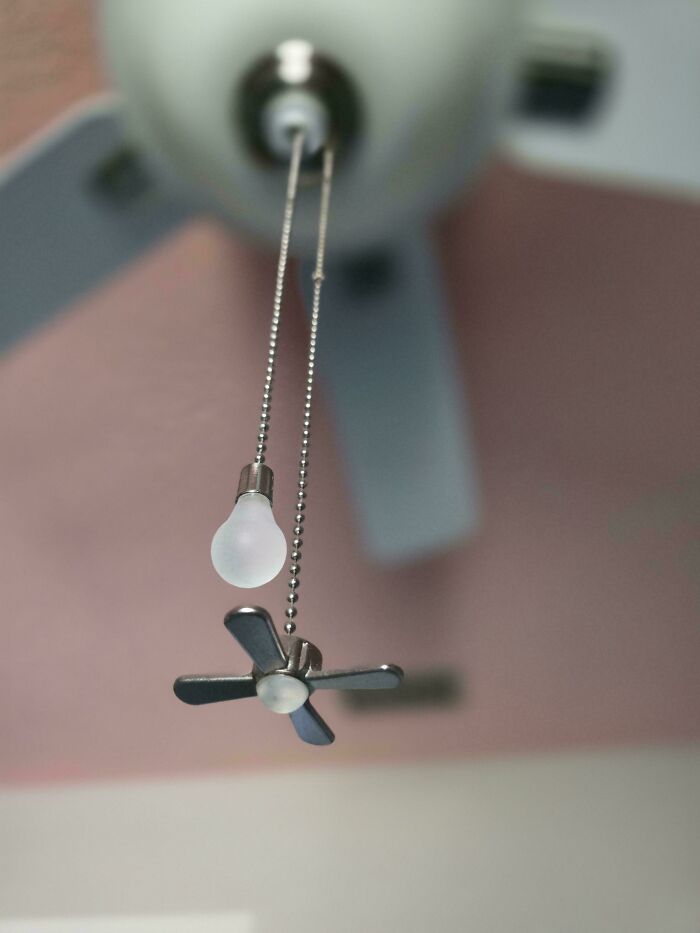 Ceiling fan pull chain with light bulb and fan blade.