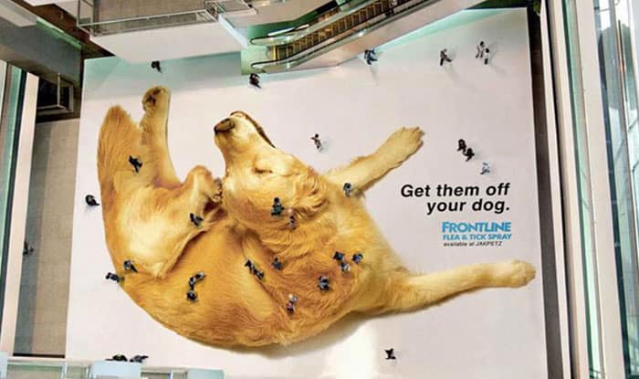 Golden retriever lying on its back with fleas, promoting flea and tick spray.
