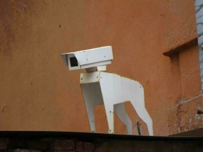 A robot dog sculpture with a camera head on a rusty wall background.