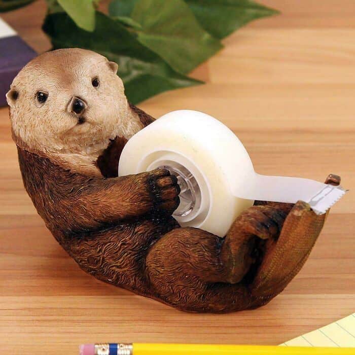 Cute sloth holding a tape dispenser with a bear face on its head, sitting on a wooden surface.