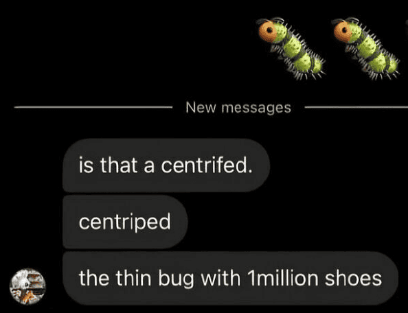 Humorous meme showing misspelled words about a centipede and a bug.
